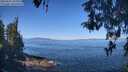 ./images/koeye/fitz-hugh/20260502/fitz-hugh20260502_105001M.jpg