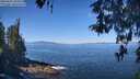 ./images/koeye/fitz-hugh/20260502/fitz-hugh20260502_105502M.jpg