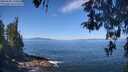 ./images/koeye/fitz-hugh/20260502/fitz-hugh20260502_110501M.jpg