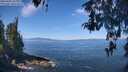 ./images/koeye/fitz-hugh/20260502/fitz-hugh20260502_112001M.jpg
