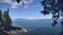 ./images/koeye/fitz-hugh/20260502/fitz-hugh20260502_114001M.jpg