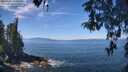 ./images/koeye/fitz-hugh/20260502/fitz-hugh20260502_114501M.jpg