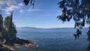 ./images/koeye/fitz-hugh/20260502/fitz-hugh20260502_115001M.jpg