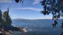 ./images/koeye/fitz-hugh/20260502/fitz-hugh20260502_121001M.jpg