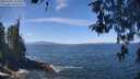 ./images/koeye/fitz-hugh/20260502/fitz-hugh20260502_121502M.jpg