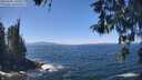 ./images/koeye/fitz-hugh/20260502/fitz-hugh20260502_130501M.jpg