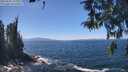 ./images/koeye/fitz-hugh/20260502/fitz-hugh20260502_132002M.jpg