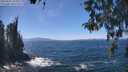 ./images/koeye/fitz-hugh/20260502/fitz-hugh20260502_134001M.jpg