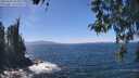 ./images/koeye/fitz-hugh/20260502/fitz-hugh20260502_134501M.jpg
