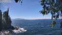 ./images/koeye/fitz-hugh/20260502/fitz-hugh20260502_135001M.jpg
