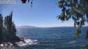 ./images/koeye/fitz-hugh/20260502/fitz-hugh20260502_140501M.jpg