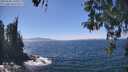 ./images/koeye/fitz-hugh/20260502/fitz-hugh20260502_141001M.jpg