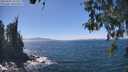 ./images/koeye/fitz-hugh/20260502/fitz-hugh20260502_141501M.jpg