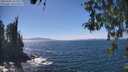 ./images/koeye/fitz-hugh/20260502/fitz-hugh20260502_142501M.jpg