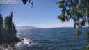 ./images/koeye/fitz-hugh/20260502/fitz-hugh20260502_143001M.jpg