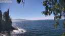 ./images/koeye/fitz-hugh/20260502/fitz-hugh20260502_143501M.jpg