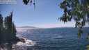./images/koeye/fitz-hugh/20260502/fitz-hugh20260502_145002M.jpg