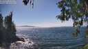 ./images/koeye/fitz-hugh/20260502/fitz-hugh20260502_150501M.jpg