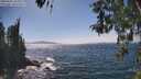 ./images/koeye/fitz-hugh/20260502/fitz-hugh20260502_151001M.jpg