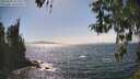 ./images/koeye/fitz-hugh/20260502/fitz-hugh20260502_153502M.jpg