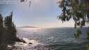./images/koeye/fitz-hugh/20260502/fitz-hugh20260502_154001M.jpg