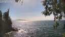 ./images/koeye/fitz-hugh/20260502/fitz-hugh20260502_154502M.jpg