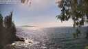 ./images/koeye/fitz-hugh/20260502/fitz-hugh20260502_155002M.jpg