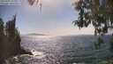 ./images/koeye/fitz-hugh/20260502/fitz-hugh20260502_155501M.jpg