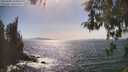./images/koeye/fitz-hugh/20260502/fitz-hugh20260502_160501M.jpg