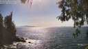 ./images/koeye/fitz-hugh/20260502/fitz-hugh20260502_161001M.jpg