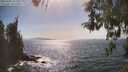 ./images/koeye/fitz-hugh/20260502/fitz-hugh20260502_161502M.jpg