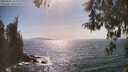 ./images/koeye/fitz-hugh/20260502/fitz-hugh20260502_162001M.jpg