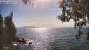 ./images/koeye/fitz-hugh/20260502/fitz-hugh20260502_162501M.jpg