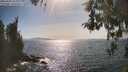 ./images/koeye/fitz-hugh/20260502/fitz-hugh20260502_163001M.jpg