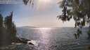 ./images/koeye/fitz-hugh/20260502/fitz-hugh20260502_164001M.jpg