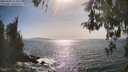 ./images/koeye/fitz-hugh/20260502/fitz-hugh20260502_164501M.jpg