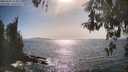 ./images/koeye/fitz-hugh/20260502/fitz-hugh20260502_165001M.jpg