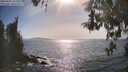 ./images/koeye/fitz-hugh/20260502/fitz-hugh20260502_165501M.jpg