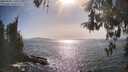 ./images/koeye/fitz-hugh/20260502/fitz-hugh20260502_170110M.jpg