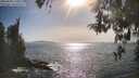 ./images/koeye/fitz-hugh/20260502/fitz-hugh20260502_171001M.jpg