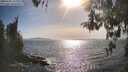 ./images/koeye/fitz-hugh/20260502/fitz-hugh20260502_172002M.jpg