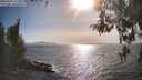 ./images/koeye/fitz-hugh/20260502/fitz-hugh20260502_173002M.jpg