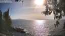./images/koeye/fitz-hugh/20260502/fitz-hugh20260502_174001M.jpg