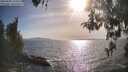 ./images/koeye/fitz-hugh/20260502/fitz-hugh20260502_174501M.jpg