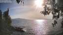 ./images/koeye/fitz-hugh/20260502/fitz-hugh20260502_175002M.jpg