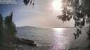 ./images/koeye/fitz-hugh/20260502/fitz-hugh20260502_180001M.jpg