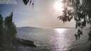 ./images/koeye/fitz-hugh/20260502/fitz-hugh20260502_180501M.jpg