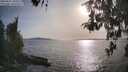 ./images/koeye/fitz-hugh/20260502/fitz-hugh20260502_181002M.jpg