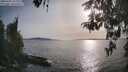 ./images/koeye/fitz-hugh/20260502/fitz-hugh20260502_182501M.jpg