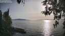./images/koeye/fitz-hugh/20260502/fitz-hugh20260502_183501M.jpg